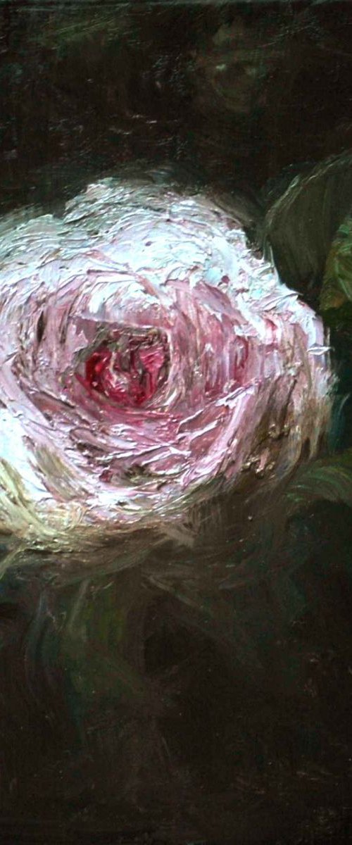 Small rose by Daniela Roughsedge