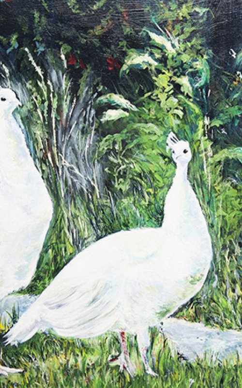 White Peacocks Large painting 85 cm x 59 cm by Anna Sidi-Yacoub