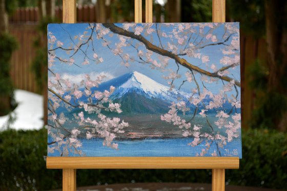 Japanese spring paradise