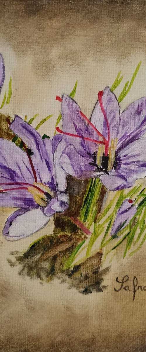 Flowers by Isabelle Lucas
