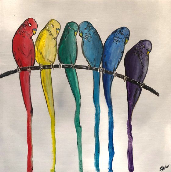 Colourful Birds