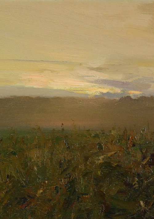 Morning fog by Denys Gorodnychyi
