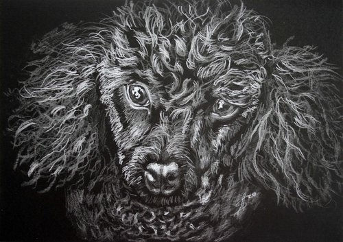 Portrait of dog 3 /  ORIGINAL PAINTING by Salana Art Gallery