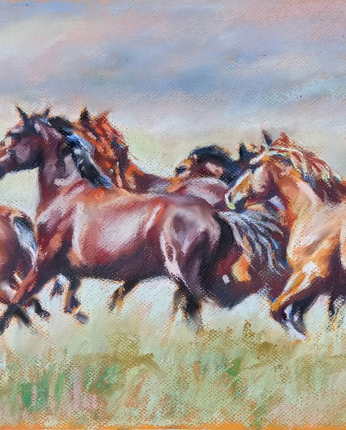 Flock of wild horses by Magdalena Palega