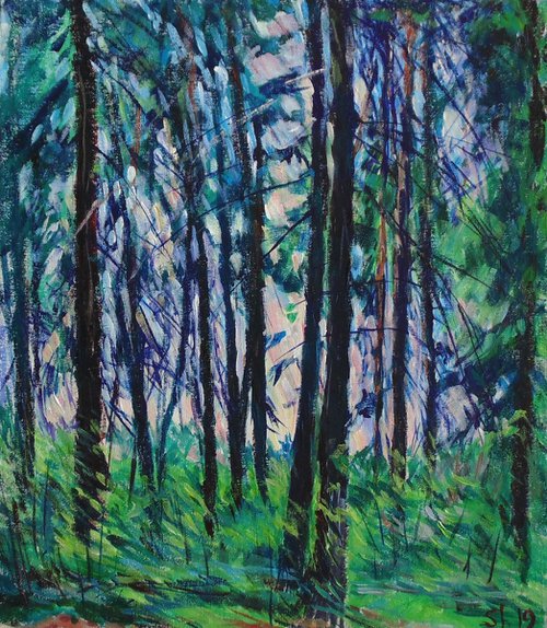 Pines by Alexander Shvyrkov