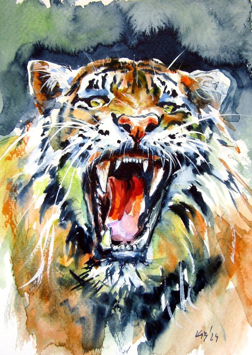 Angry tiger by Kovacs Anna Brigitta