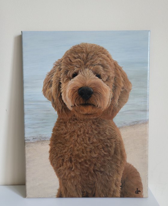 Commision pet portrait