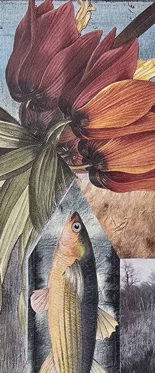 Fritillaria Salmo by Susan Savory