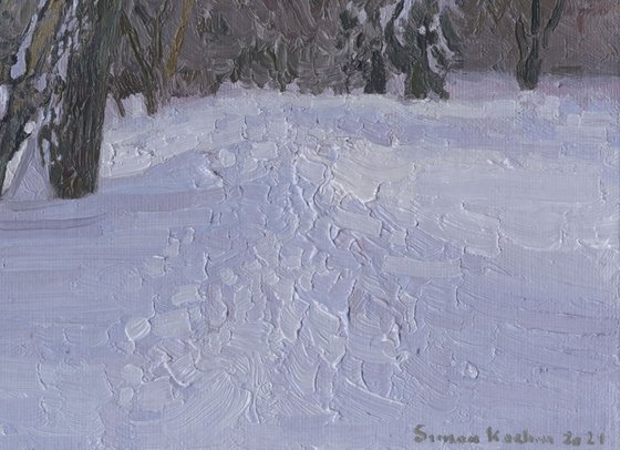 February. Alley in Tsaritsyno Park