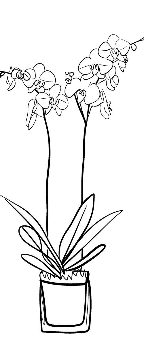 Orchid Digital Line Drawing by Louis Savage