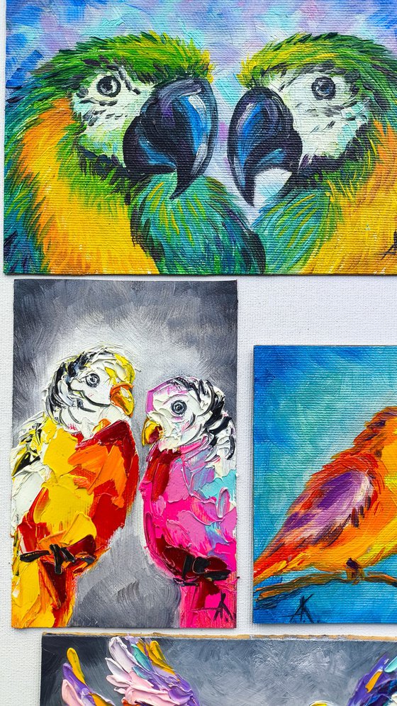 Collection "Bird sounds"