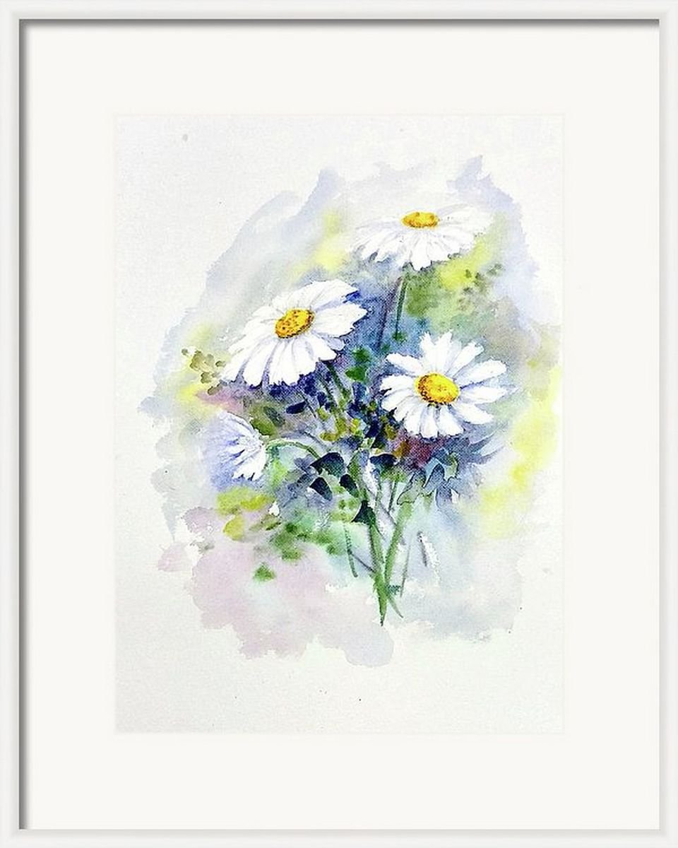 Daisies White flowers, Floral Watercolor Daisies Painting -10.25x 14 by Asha Shenoy