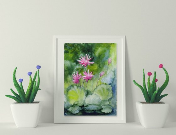 Pink Water Lilies 18