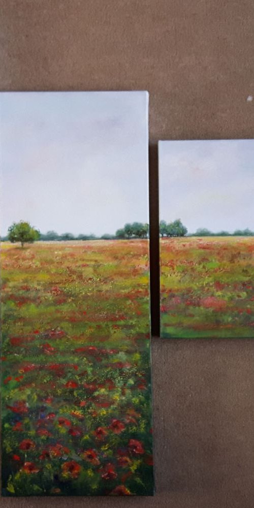 Poppy fields by Ruth  Aslett