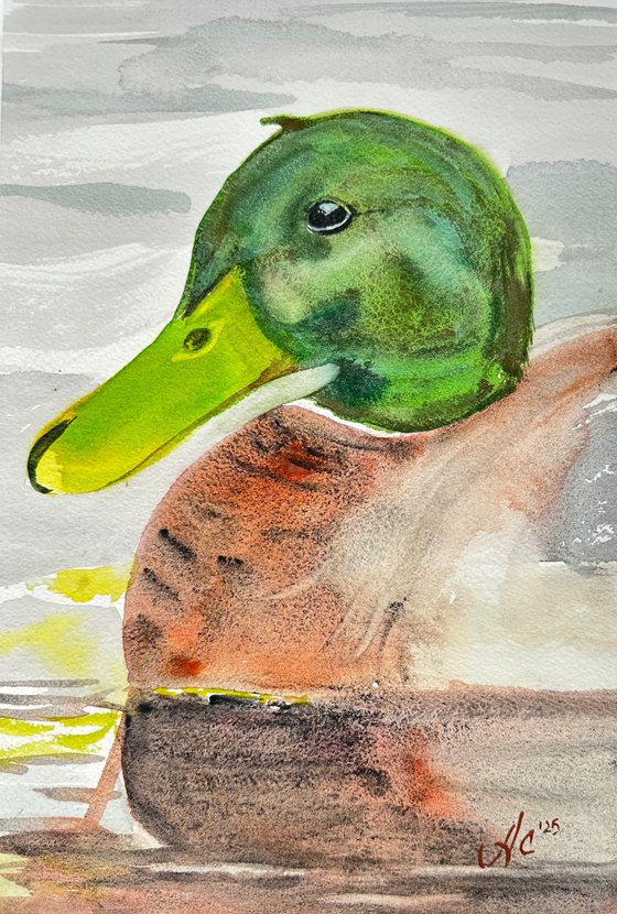 Birds: Toucan and Duck