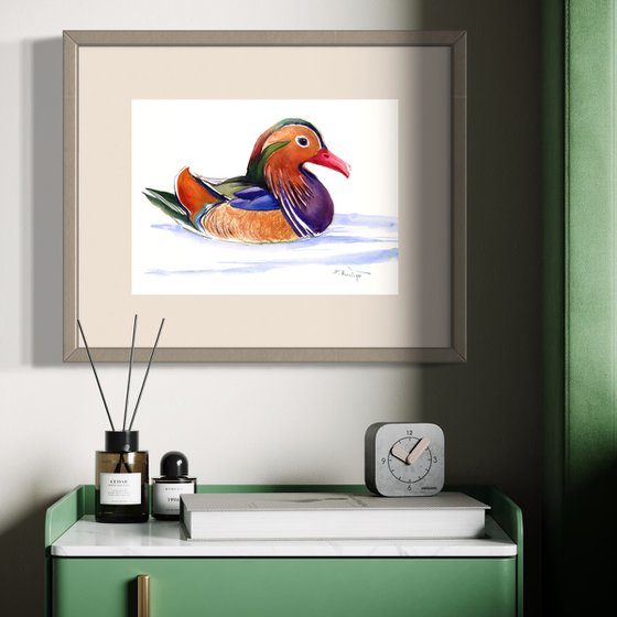 Mandarine Duck