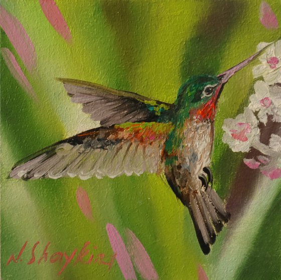 Hummingbird