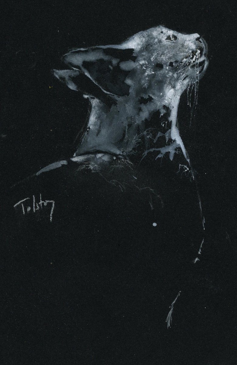 Impressionistic Animal Watercolour By Alex Tolstoy, 8 X 12, Basking Cat, Original Artwork