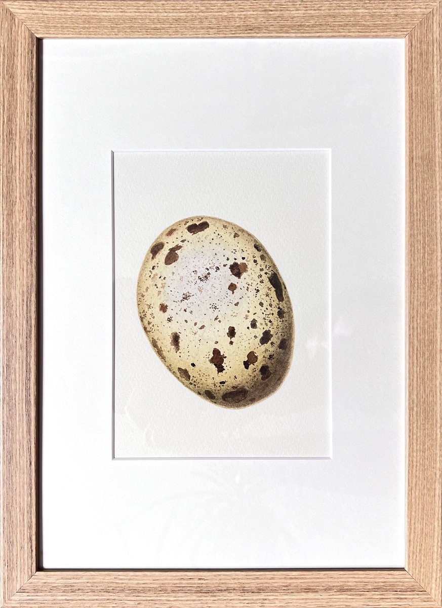 Photorealistic Animal Watercolour By Tetiana Kovalova, 9 X 13", Golden Egg, Original Artwork