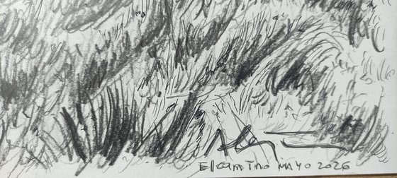El camino (the way)
