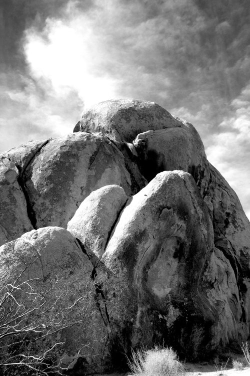 ROCK POWER Joshua Tree National Park by William Dey