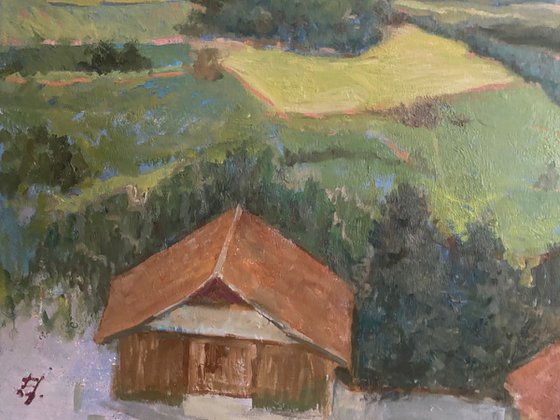 Tyrol Landscape