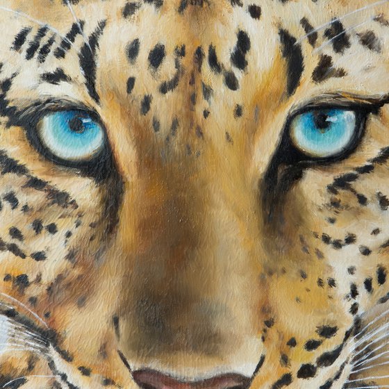 Portrait of a leopard