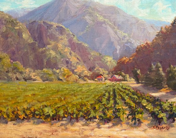 California Foothills Vineyards