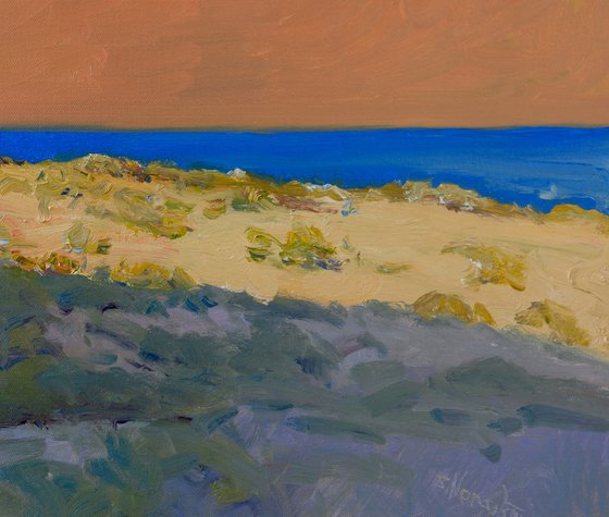 Sand and Beachhome