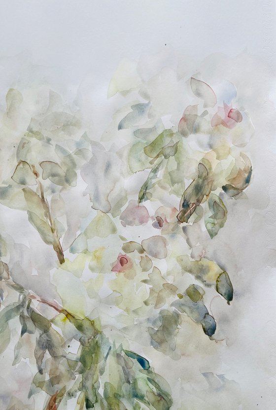 Peonies 50x65 cm 2025