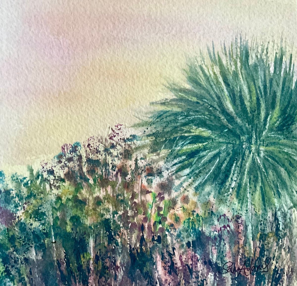 Seaside Yucca and flora by Samantha Adams