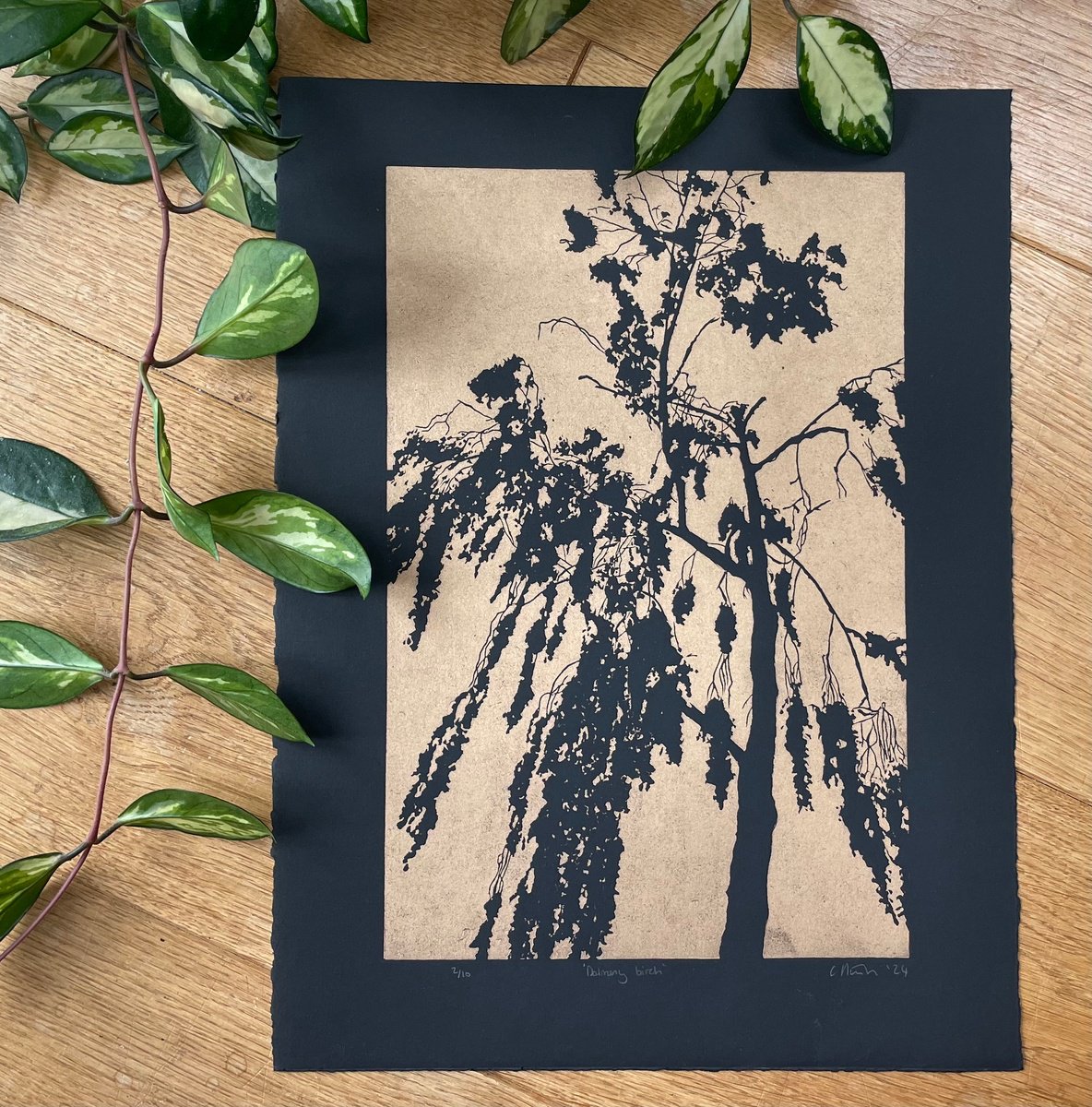 Birch Tree Linocut Print by C Staunton