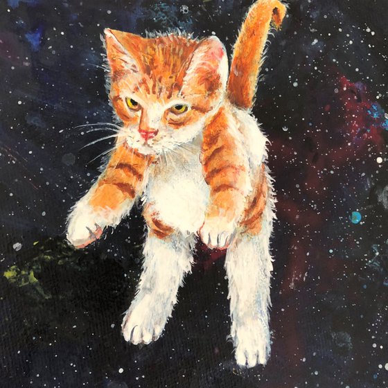 Kittens in space