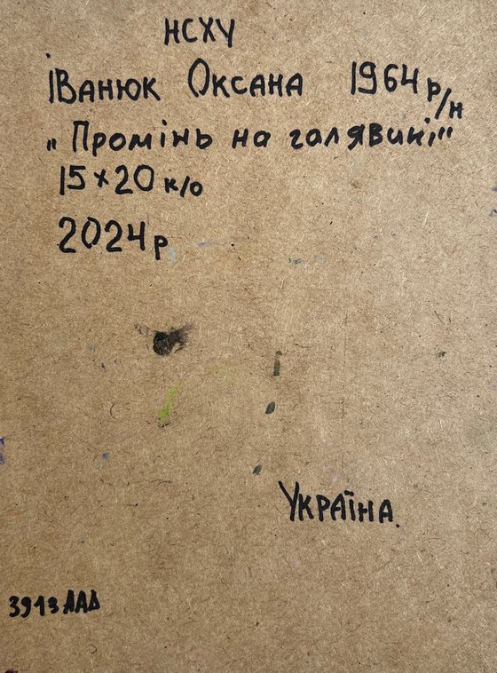 Sunbeams on the meadows