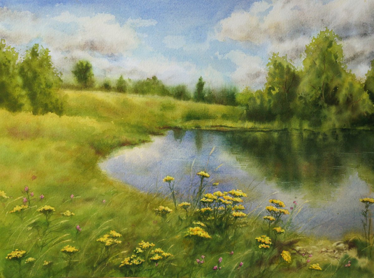 Summer landscape - Flowering of the tansy - A summer day at the lake by Olga Beliaeva Watercolour