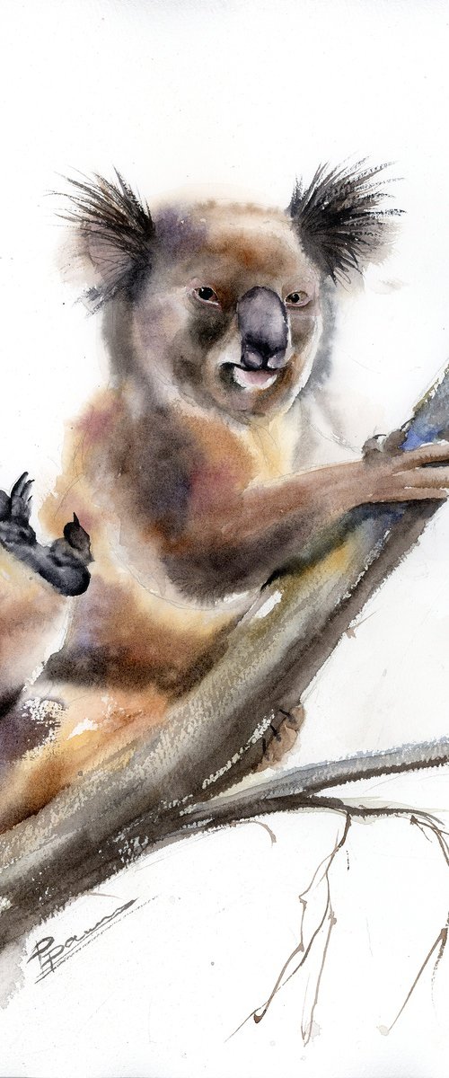 Playful Koala by Olga Tchefranov (Shefranov)