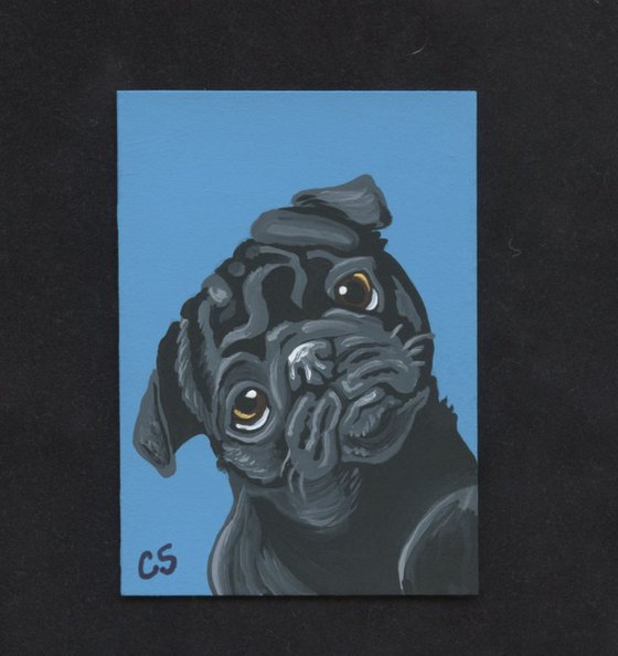 ACEO ATC Original Painting Black Pug Pet Dog Art-Carla Smale