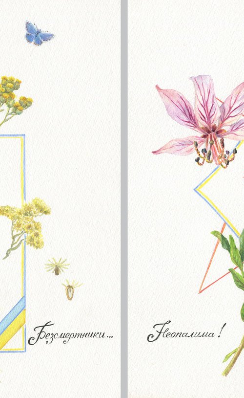 Through eternity (Diptych) / ORIGINAL watercolors Floral picture Botanical illustration by Olha Malko