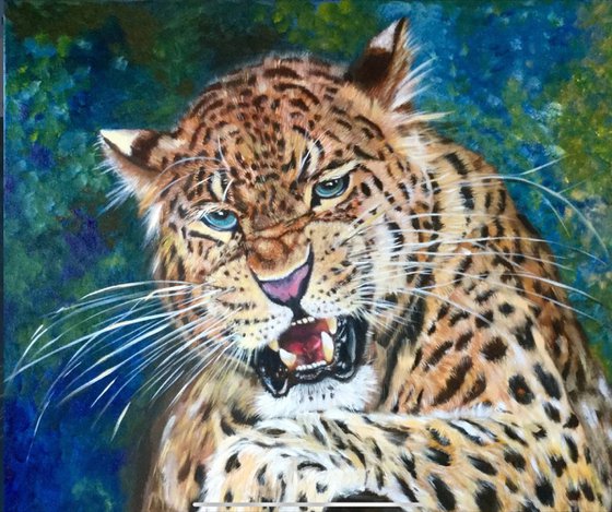 Leopard , wild cat