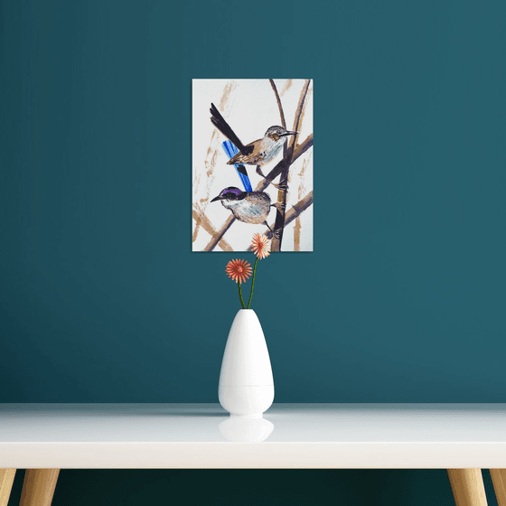 Pair Purple-crowed Fairy-wrens