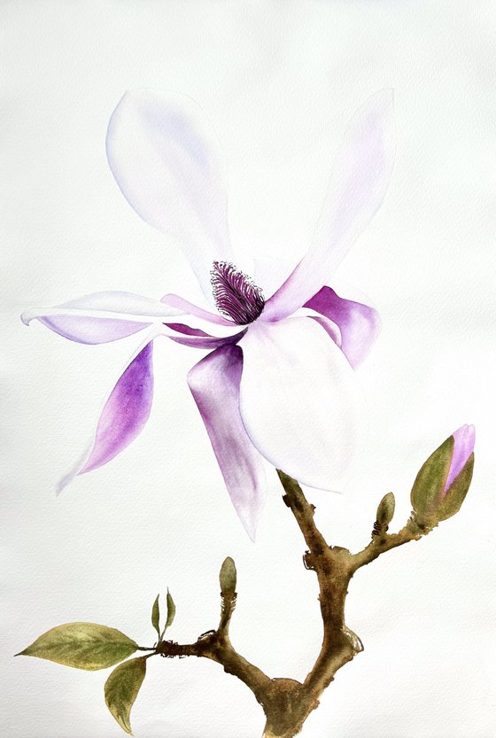 Diptych Wild Pink magnolia