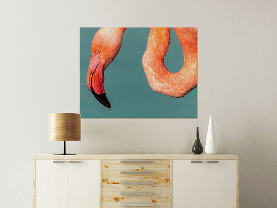 Flamant rose