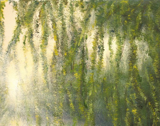 Lily pond