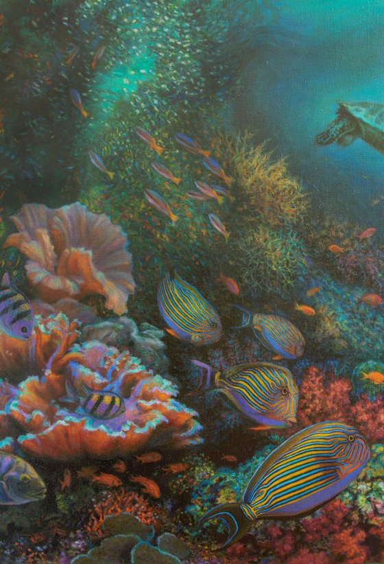 Coral Reef