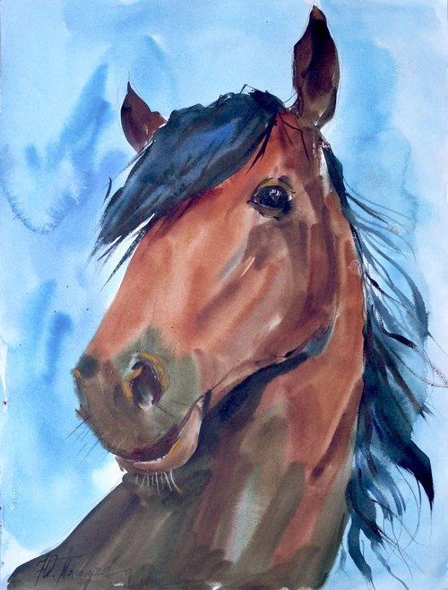 Brown horse by Yuliia Pastukhova
