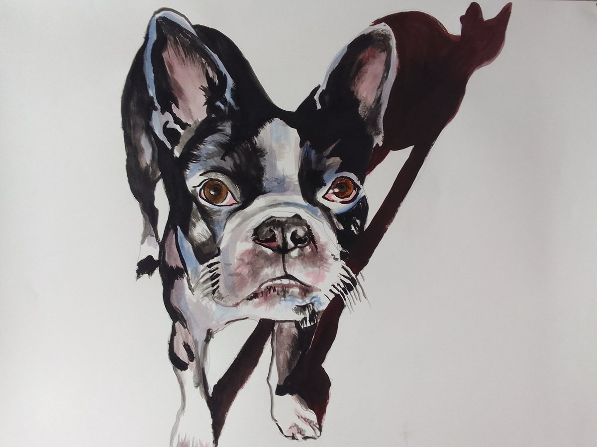 Photorealistic Animal Acrylic Painting By Soso Kumsiashvili, 31 X 24", Bosston Terrier, Original Artwork