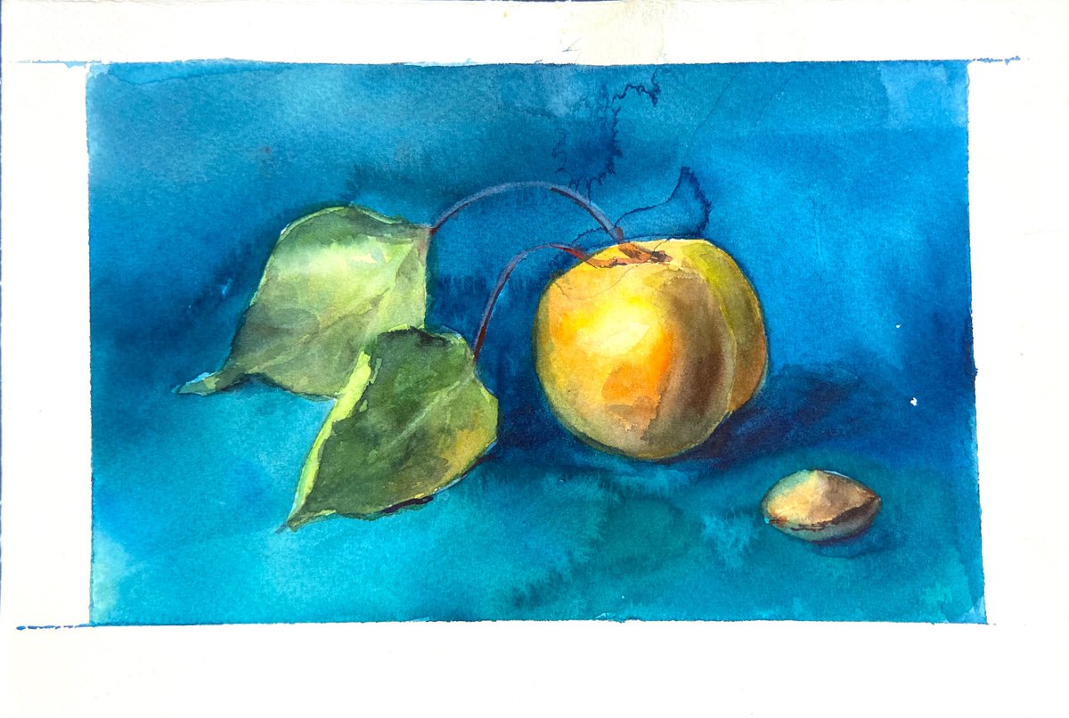 Apricot on blue | little watercolor etude by Nataliia Nosyk