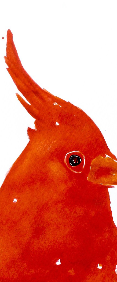Bird by Nadia Moniatis