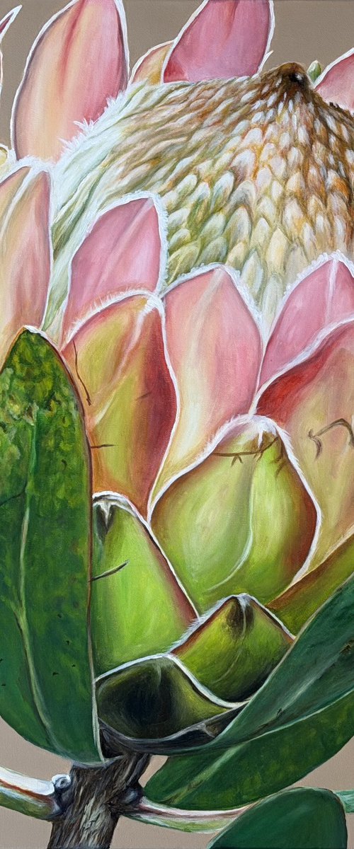 Crowned Protea by Valeriia Obertas