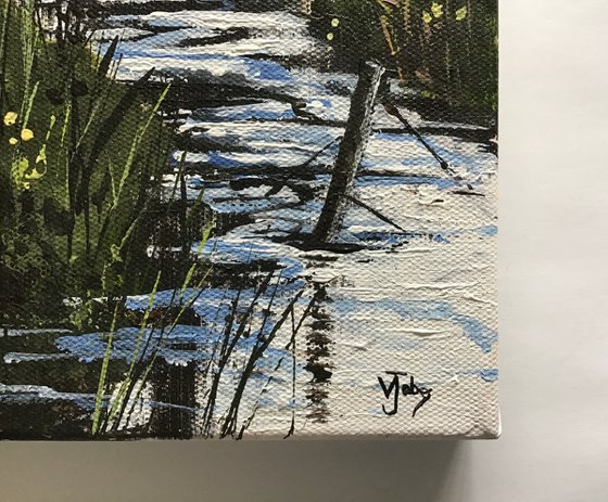 Walking by the stream
